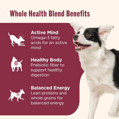 Nutrish Real Salmon, Veggies & Brown Rice Recipe Whole Health Blend Dry Dog Food, 13 lb. Bag, Packaging May Vary (Rachael Ray)