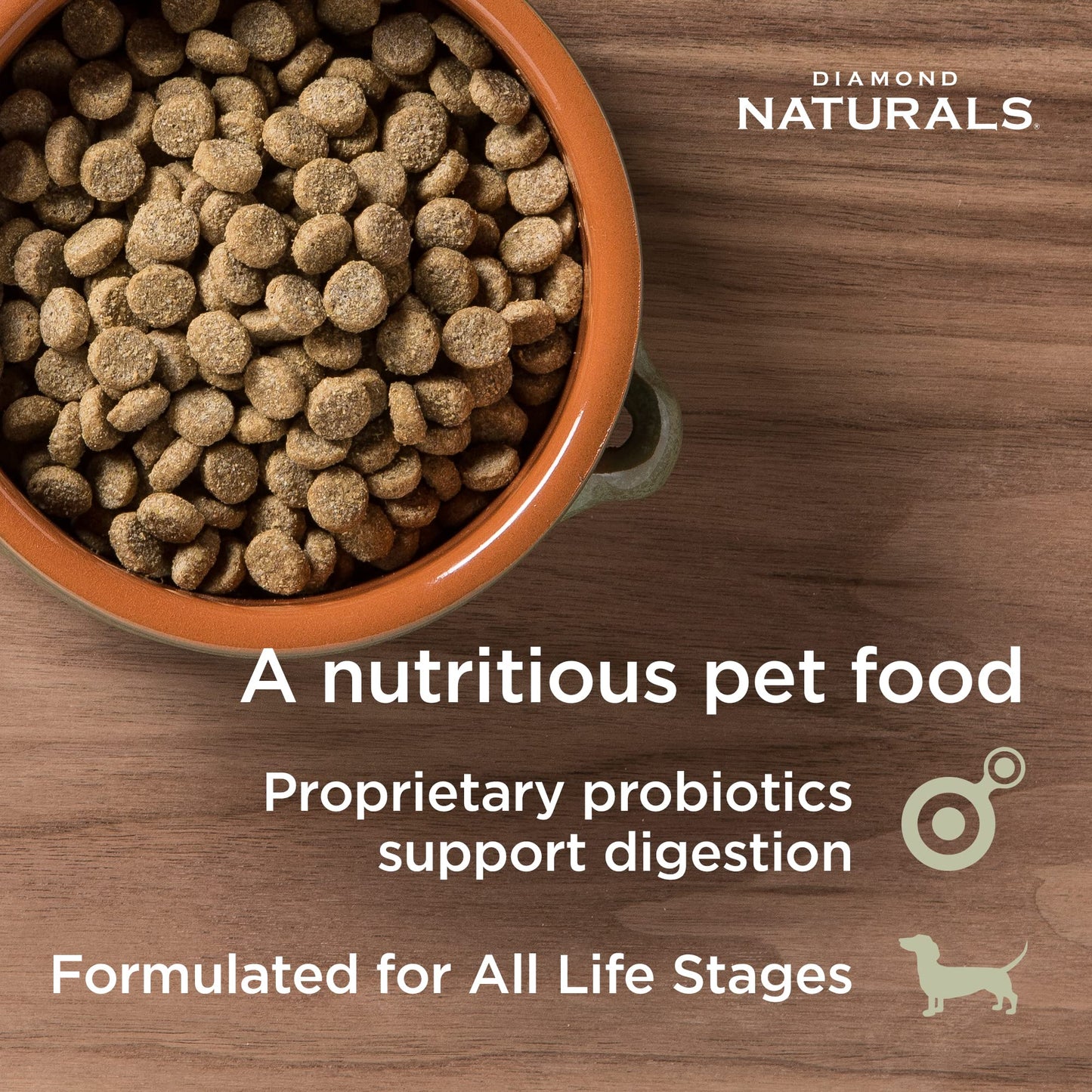 DIAMOND NATURALS Skin & Coat Real Meat Recipe Dry Dog Food with Wild Caught Salmon 30 Pound (Pack of 1)