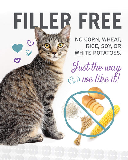 I and love and you Wet Cat Food - Ninja Cat Jiu Jit Stew Variety Pack - Chicken, Salmon, Tuna, Grain Free, Filler Free, 3oz Pack of 12 Cans
