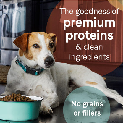Canidae Pure Limited Ingredient Premium Adult Dry Dog Food, Real Salmon & Sweet Potato Recipe, 22 lbs, Grain Free