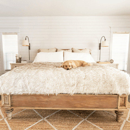 PupProtector™ Waterproof Throw Blanket - White with Brown Accents