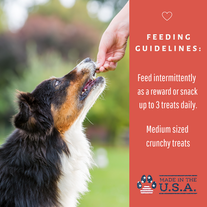 Dog Mamma's Organic Apple Cranberry Recipe - USDA Organic Certified Dog Treats