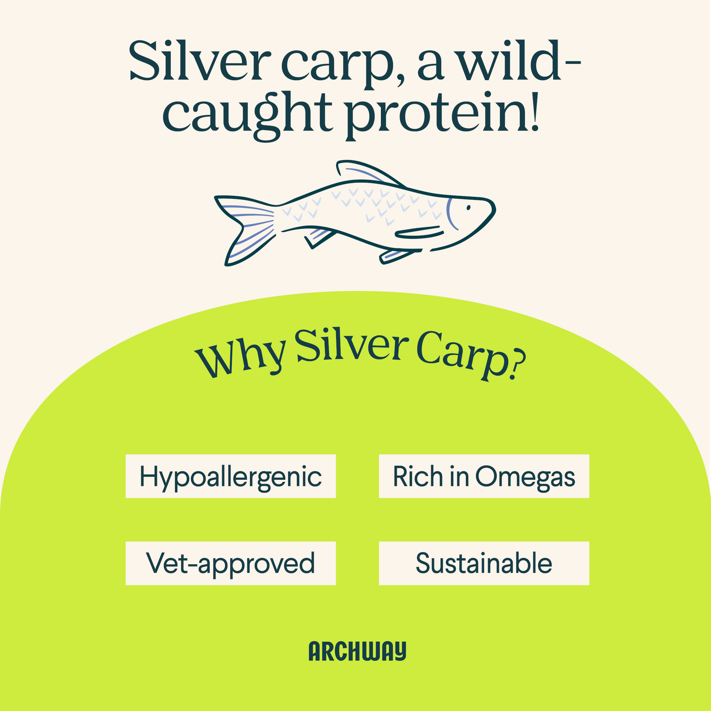 Silver Carp Dog Food