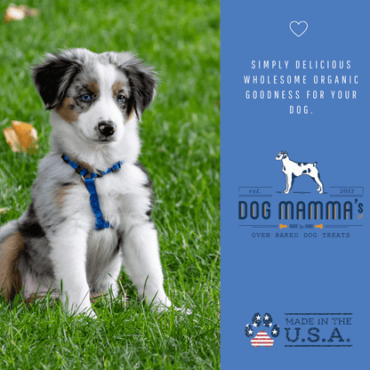 Dog Mamma's Organic Berry Banana Coconut Recipe - USDA Organic Certified Dog Treats