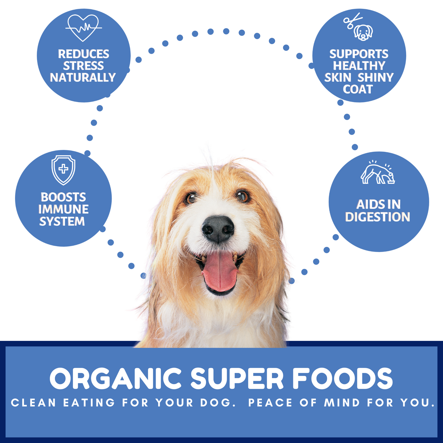 Dog Mamma's Organic Berry Banana Coconut Recipe - USDA Organic Certified Dog Treats