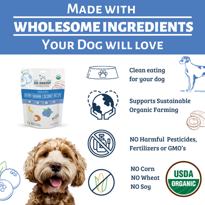 Dog Mamma's Organic Berry Banana Coconut Recipe - USDA Organic Certified Dog Treats