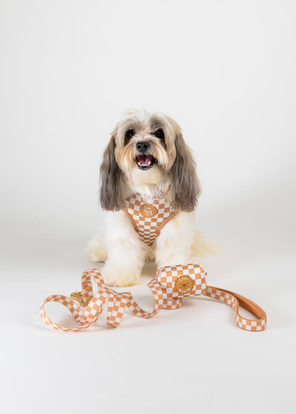 Check Me Out Adjustable Harness