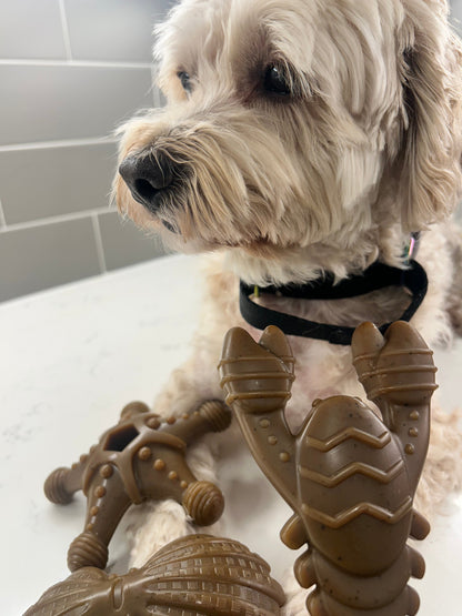 "Ocean Theme" Indestructible Chew Toy- For Tough Chewers