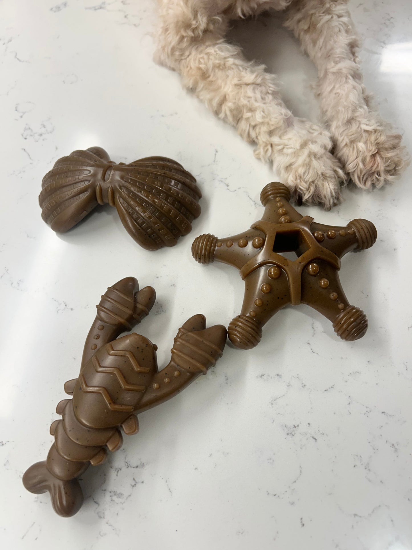 "Ocean Theme" Indestructible Chew Toy- For Tough Chewers