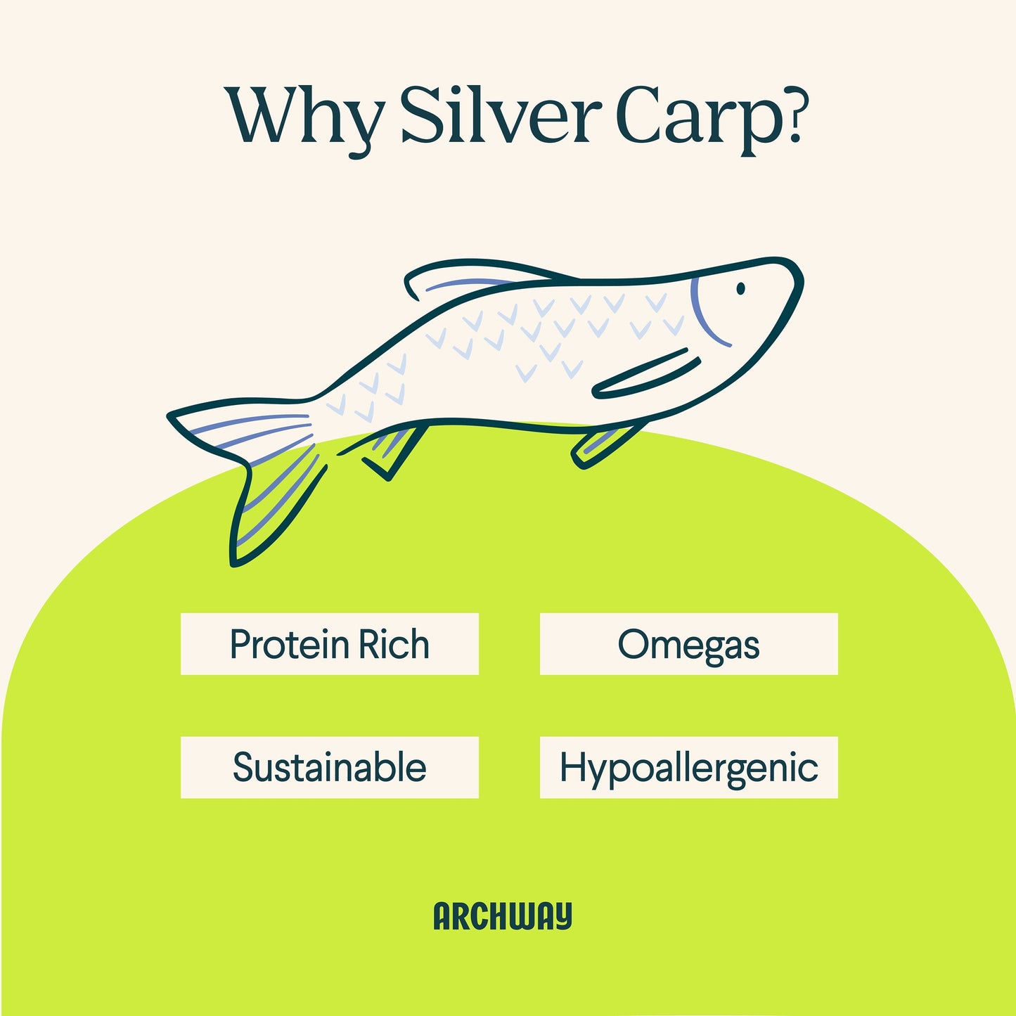 Silver Carp For Dogs