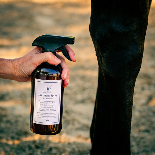Liniment Spray for Horses