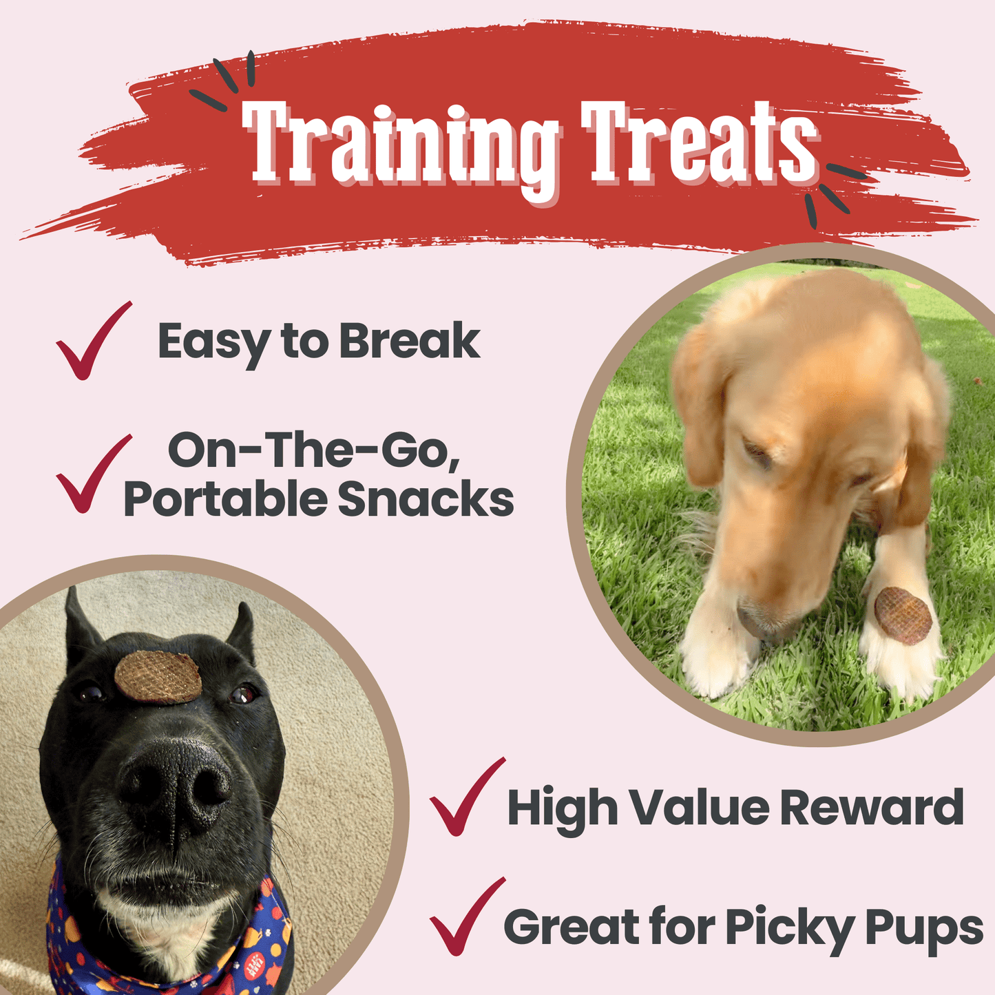 Beef Chips Dog Treats | Single-Ingredient Healthy Treats for Dogs