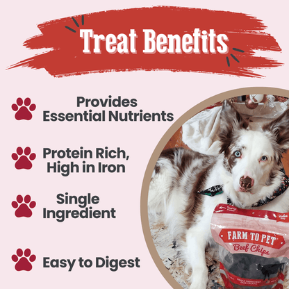 Beef Chips Dog Treats | Single-Ingredient Healthy Treats for Dogs