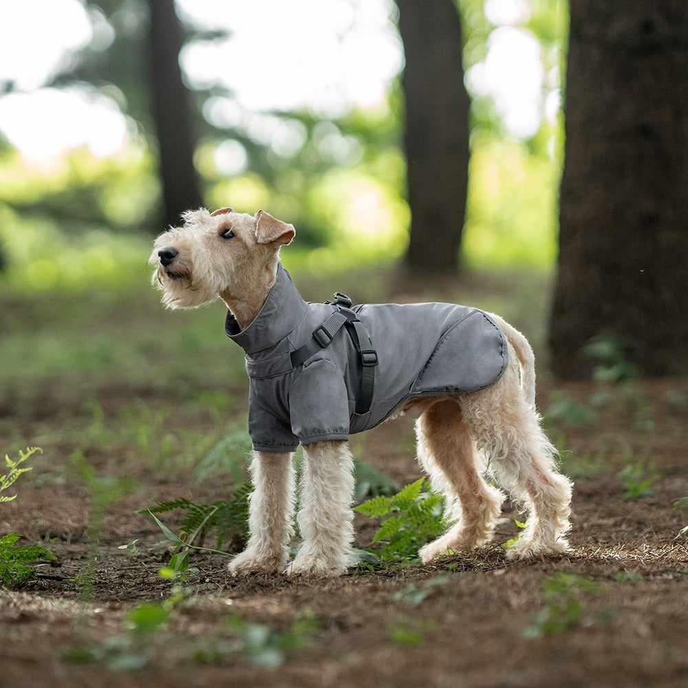 Milou & Lumi Dog Waterproof Reflective Jacket with Harness