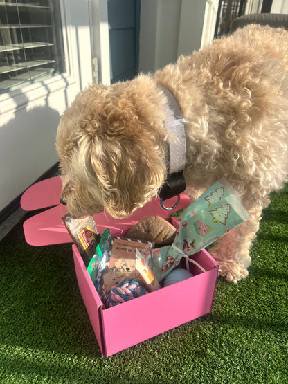 Pawliday Box
