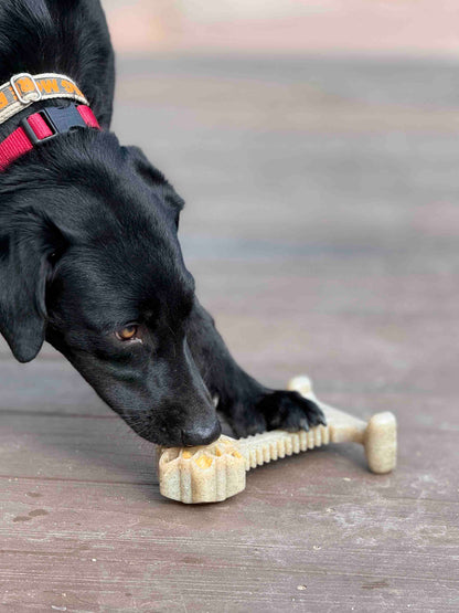 Honey Bone Dental Flower Tower - Indestructible Nylon Dog Chew Toy XL | USA