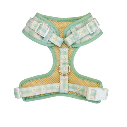 Oopsie Daisy! Adjustable Harness