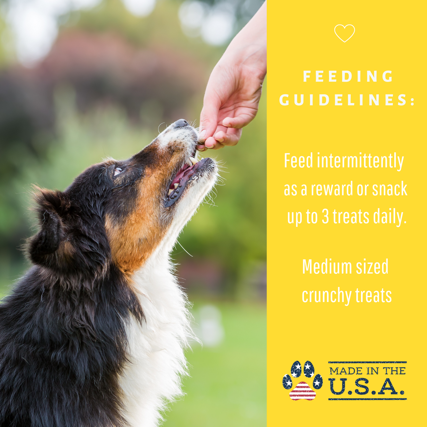 Dog Mamma's Organic Peanut Butter Banana Recipe - USDA Organic Certified Dog Treats