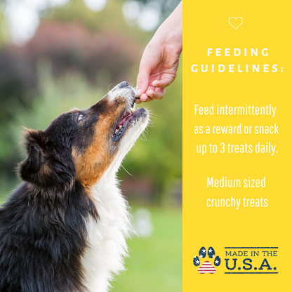 Dog Mamma's Organic Peanut Butter Banana Recipe - USDA Organic Certified Dog Treats