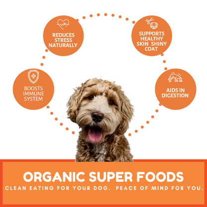 Dog Mamma's Organic Pumpkin Snaps Recipe- USDA Organic Certified Dog Treats