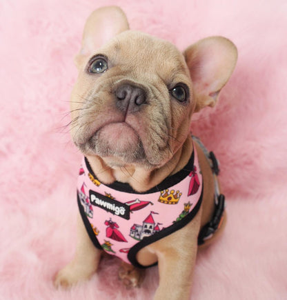 Fairytail Reversible Harness