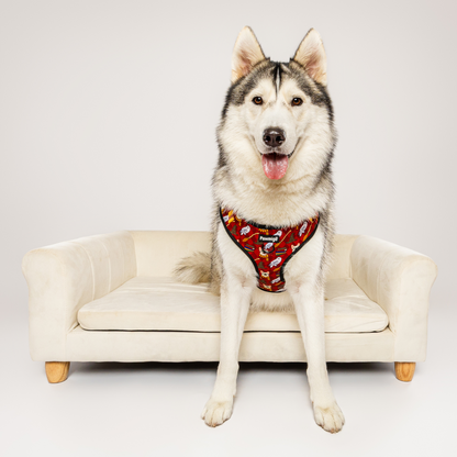 Pawgwarts Everyday Adjustable No-Pull Dog Harness