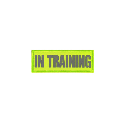 REFLECTIVE HIGH VISIBILITY NEON Tag Patch