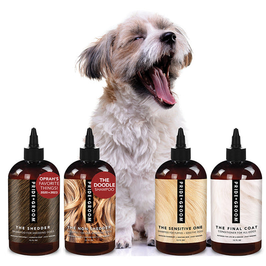 THE WASH SAMPLE PACK — Try PRIDE+GROOM's Best-Selling Dog Shampoos & Conditioner
