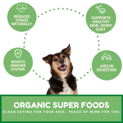 Dog Mamma's Organic Sweet Potato & Kale Recipe - USDA Organic Certified Dog Treats