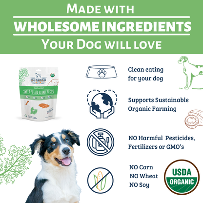 Dog Mamma's Organic Sweet Potato & Kale Recipe - USDA Organic Certified Dog Treats