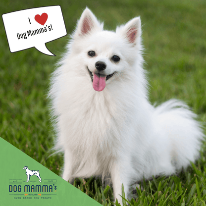 Dog Mamma's Organic Sweet Potato & Kale Recipe - USDA Organic Certified Dog Treats