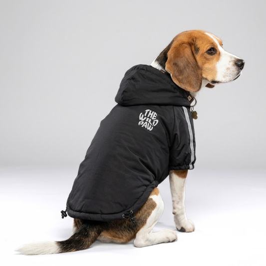 HydroHike Jacket