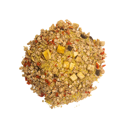 Tropical - Feast on the Fly