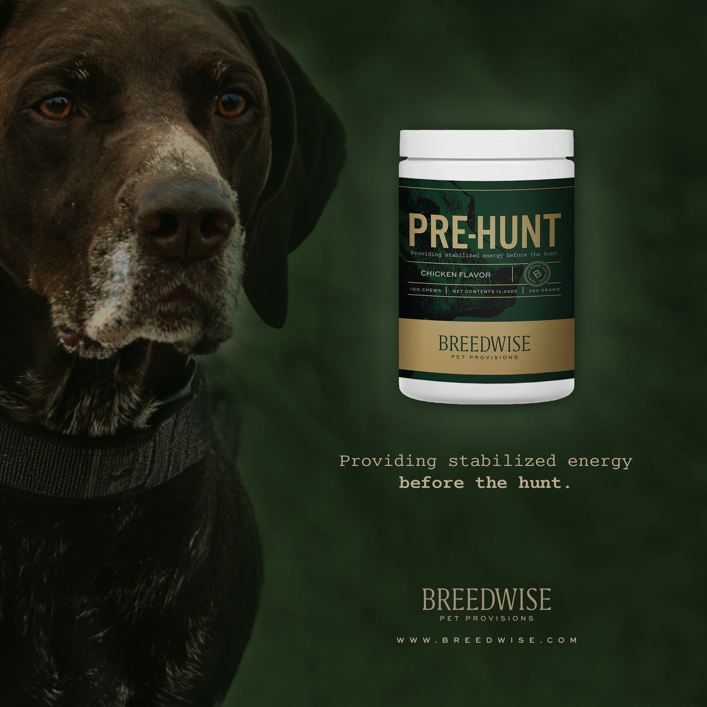 Breedwise Pre-HUNT Soft Dog Chews