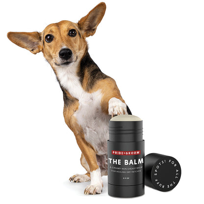 THE BALM Healing Pet Balm — Natural Paw & Nose Moisturizing Balm for Dogs & Cats
