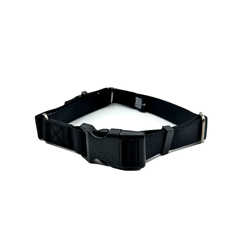 Martingale Dog Collar