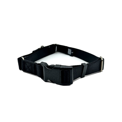 Martingale Dog Collar