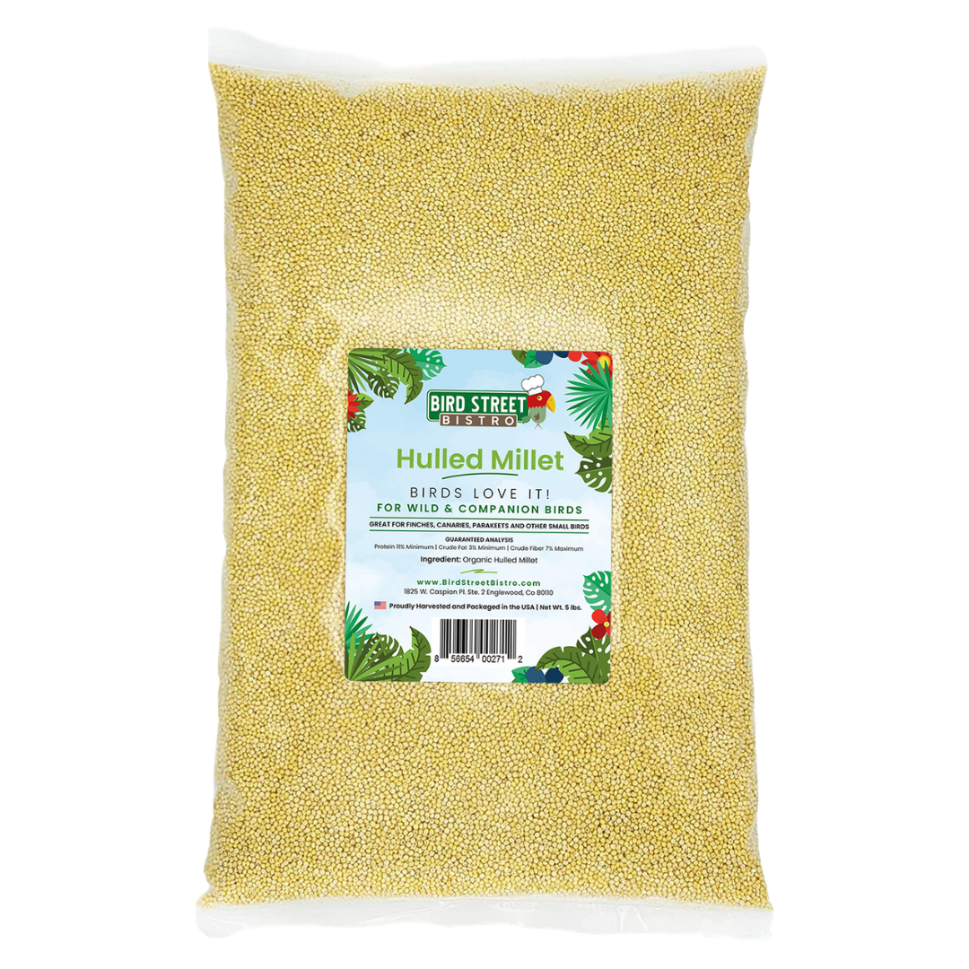 Hulled Millet - 5 lbs.