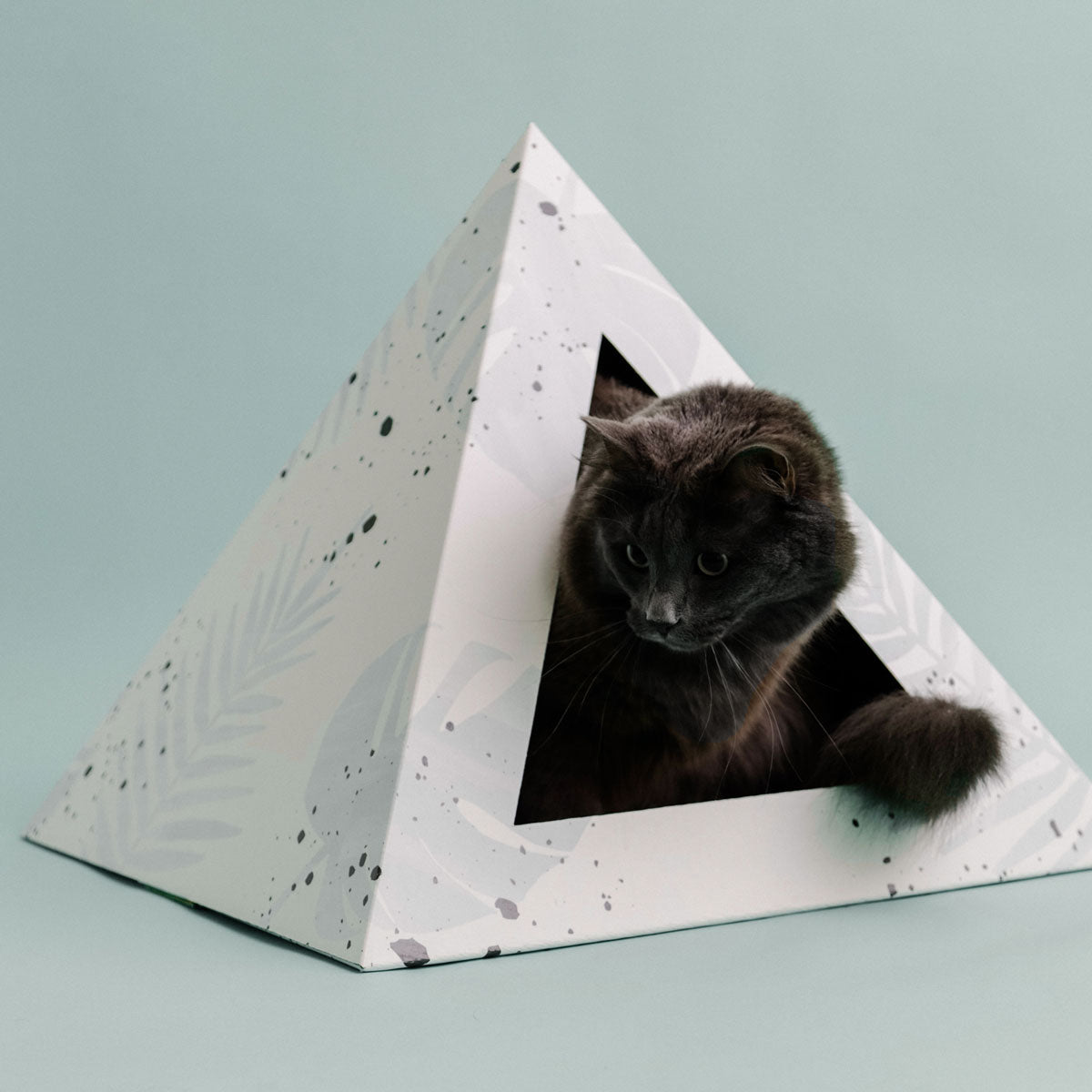 'Oasis' Cardboard Cat Pyramid