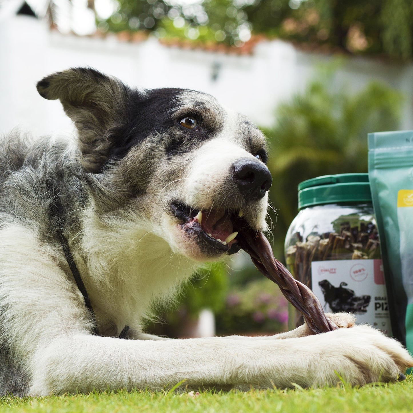 12" Beef Braided Gullet Sticks (4-Pack)