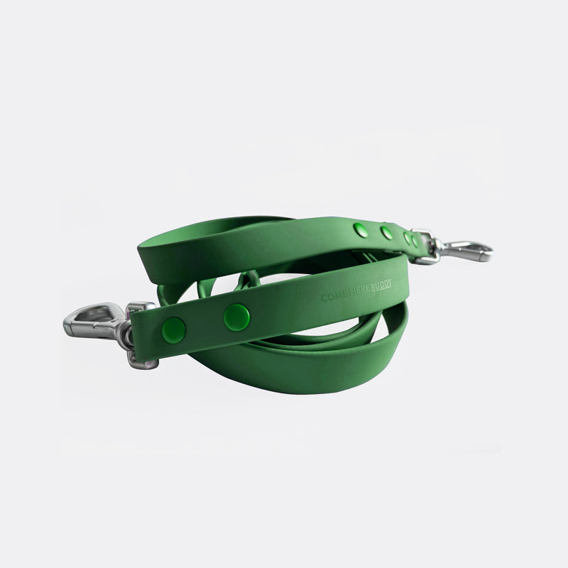 Leash
