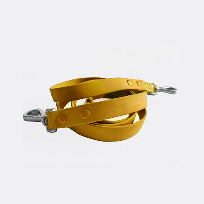 Leash