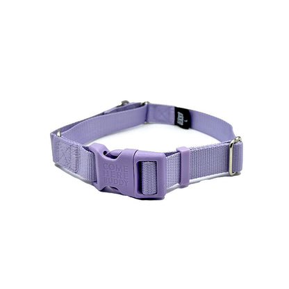 Martingale Dog Collar